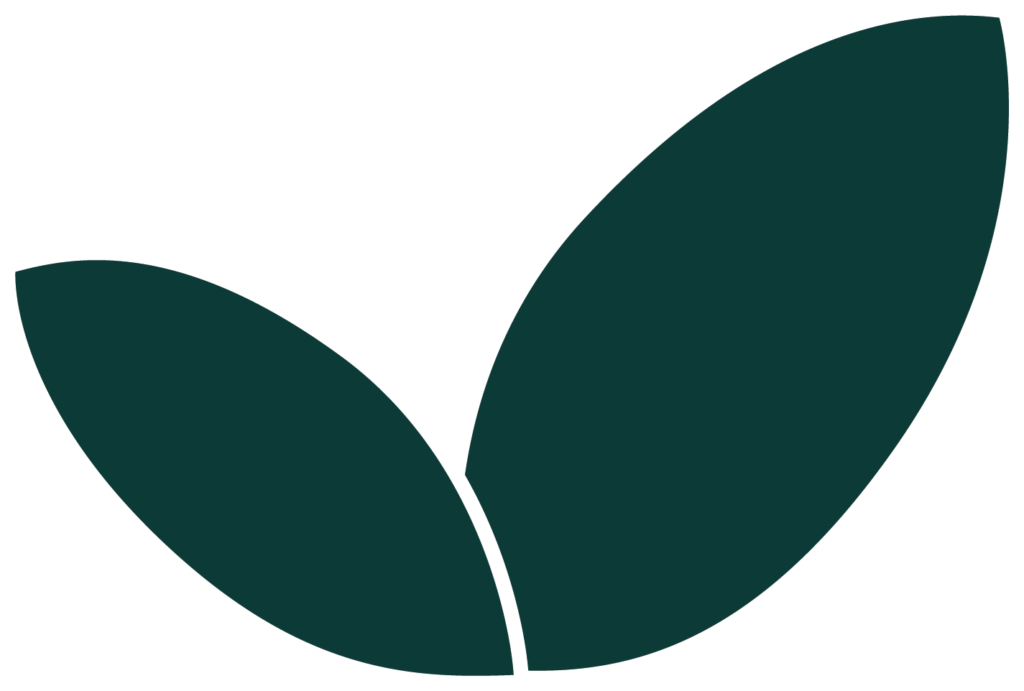 Offre Coup de pousse / prestations ponctuelles