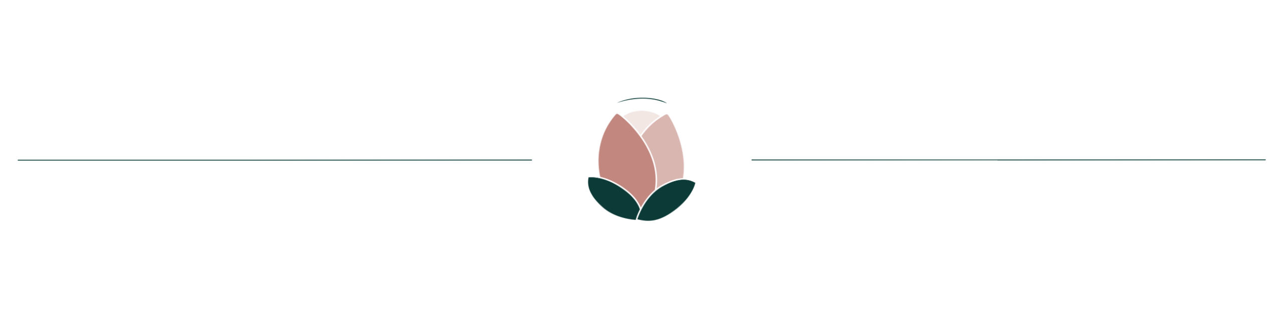 Eclosion digitale - fonctionnement