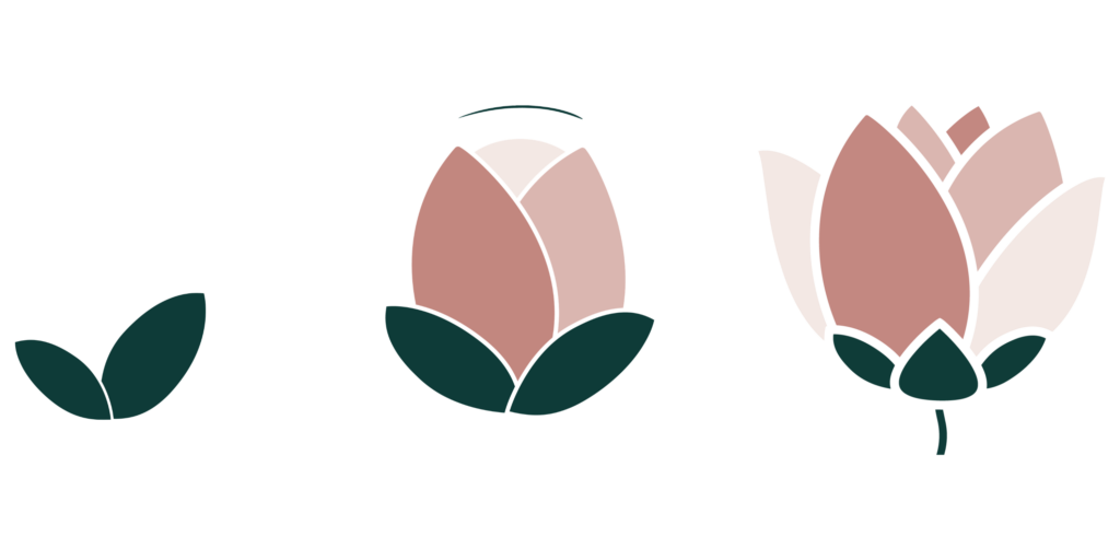 Pictogramme Evolution / Accompagnements